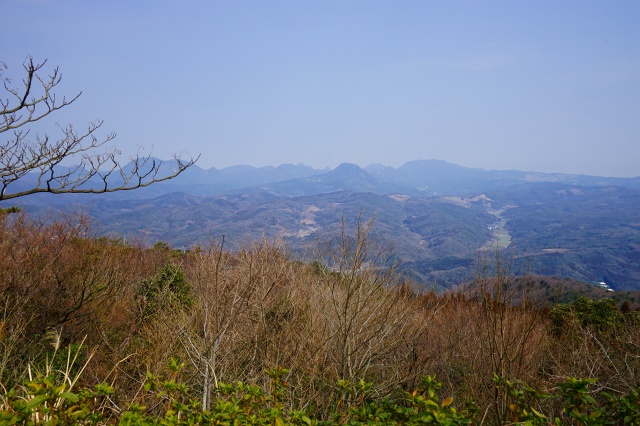 DSC00317.jpg