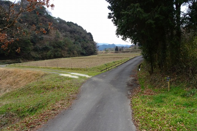 DSC03159.jpg