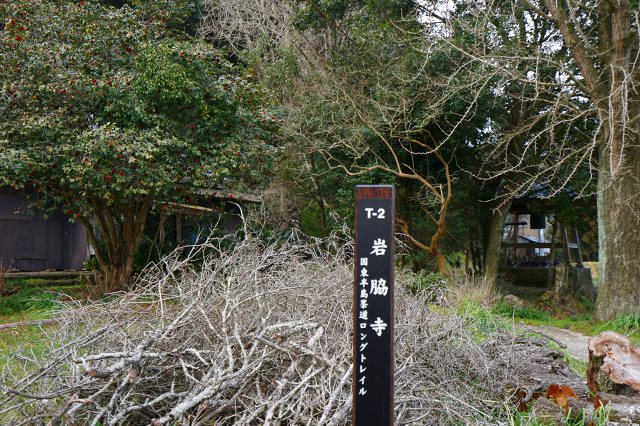 DSC00336.jpg