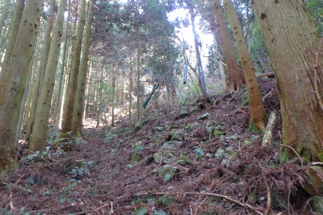 P3160274.jpg