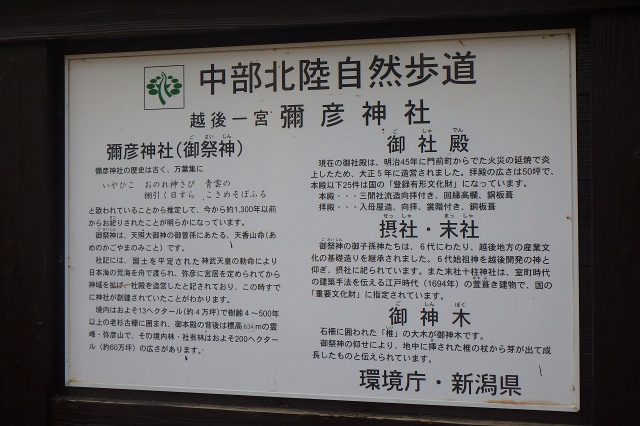 P4011859.jpg