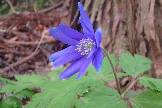 P4011861.jpg
