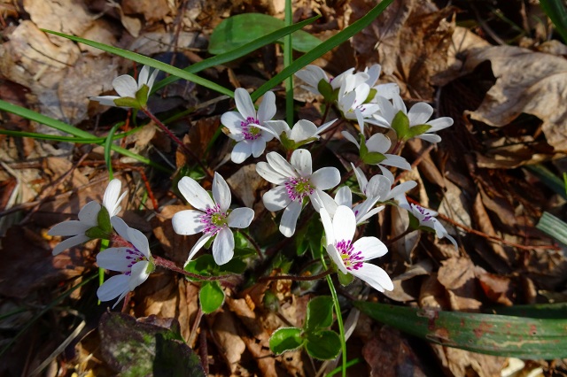 DSC03791.jpg