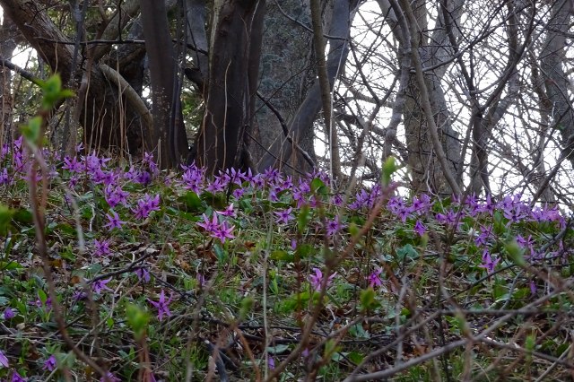 DSC03809.jpg