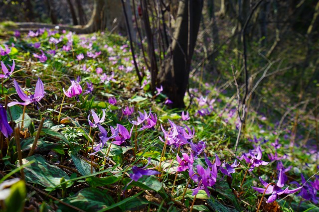 DSC01073.jpg