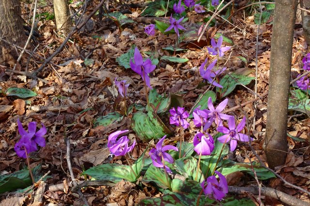 DSC03858.jpg