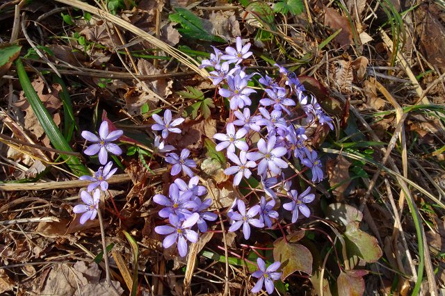DSC03880.jpg