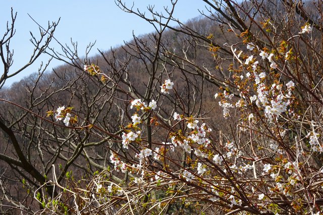 DSC03902.jpg