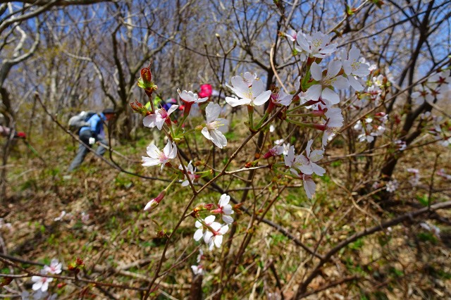 DSC03905.jpg