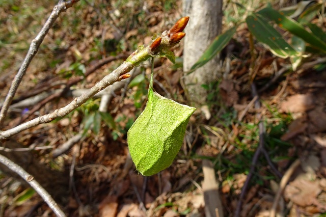 DSC03909.jpg