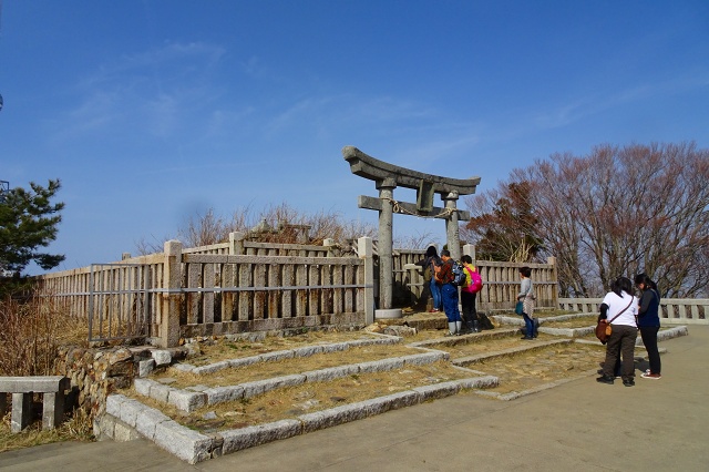 DSC03942.jpg