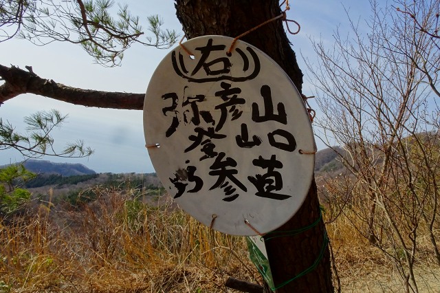 DSC03955.jpg