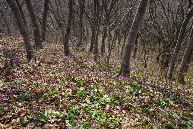 DSC01211.jpg