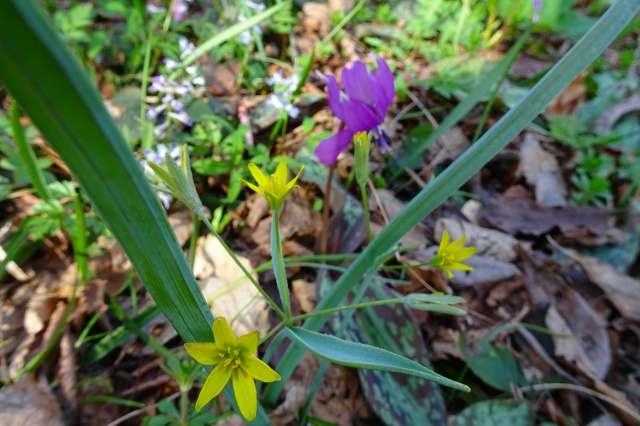 DSC03970.jpg