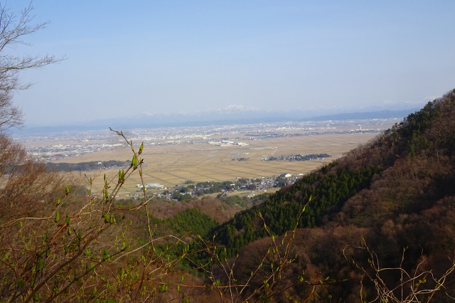 DSC03985.jpg