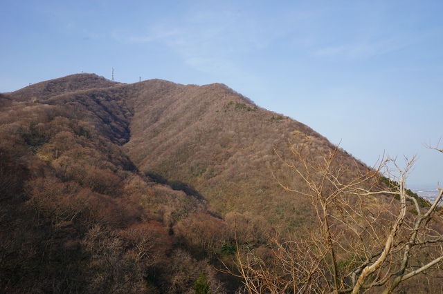 DSC01244.jpg