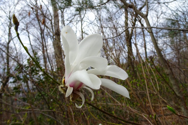DSC04047.jpg