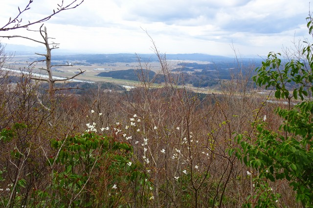 DSC04055.jpg