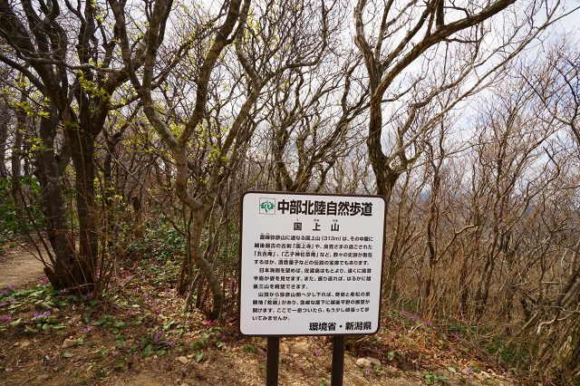 DSC01300.jpg