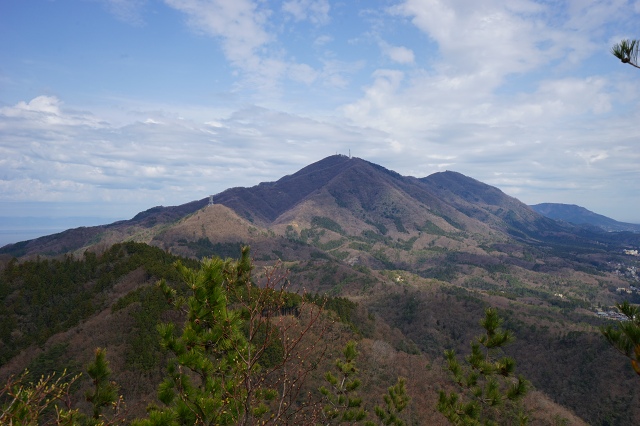 DSC01325.jpg