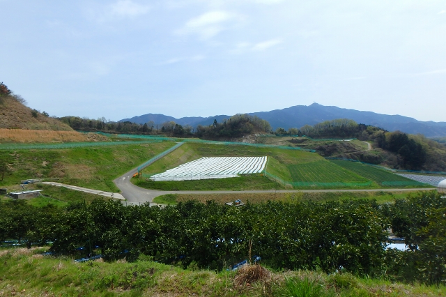 P4061886.jpg