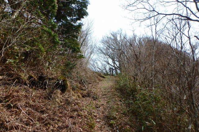 P4090308.jpg