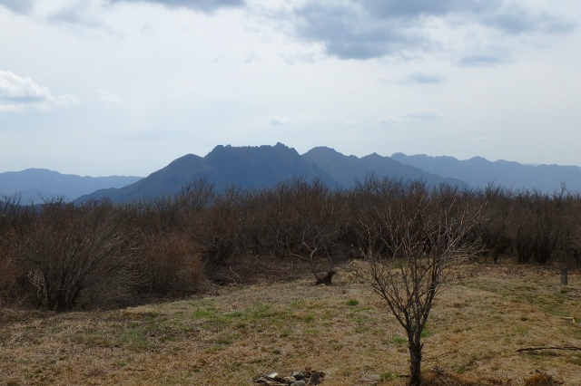 P4090327.jpg