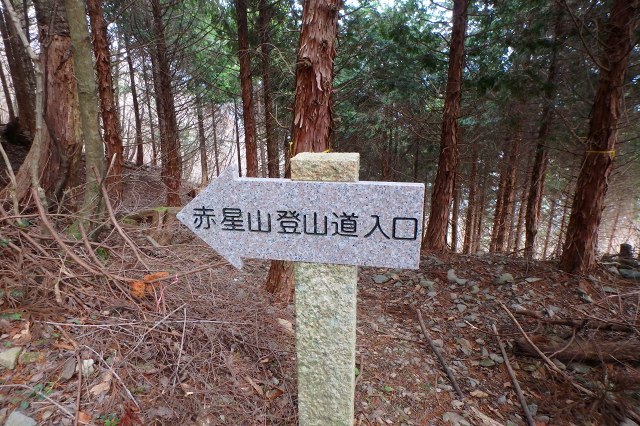 P4090328.jpg