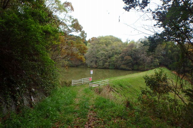 P4101951.jpg