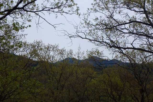 P4101958.jpg