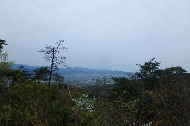 P4101962.jpg