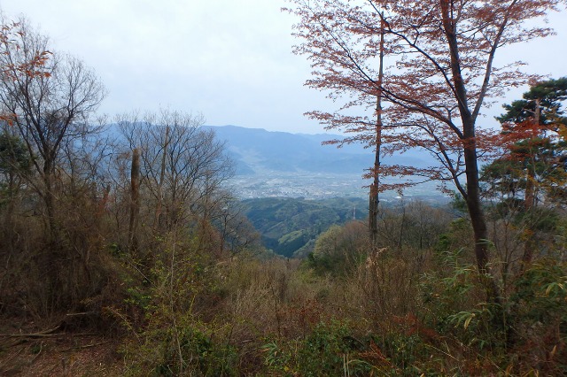 P4101968.jpg