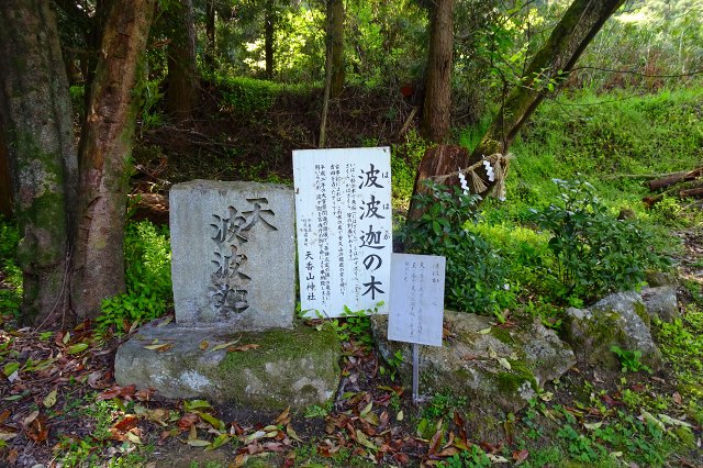 DSC04401.jpg