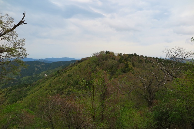 IMG_0280.jpg