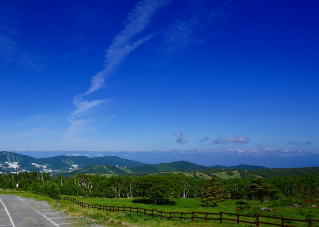 DSC01644.jpg