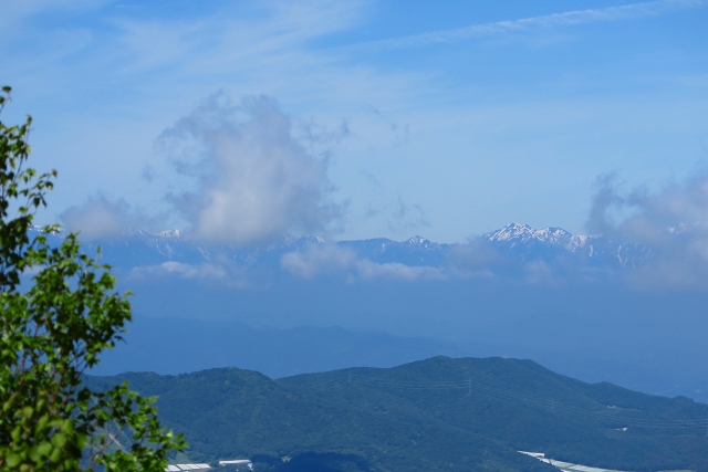 IMG_1689.jpg