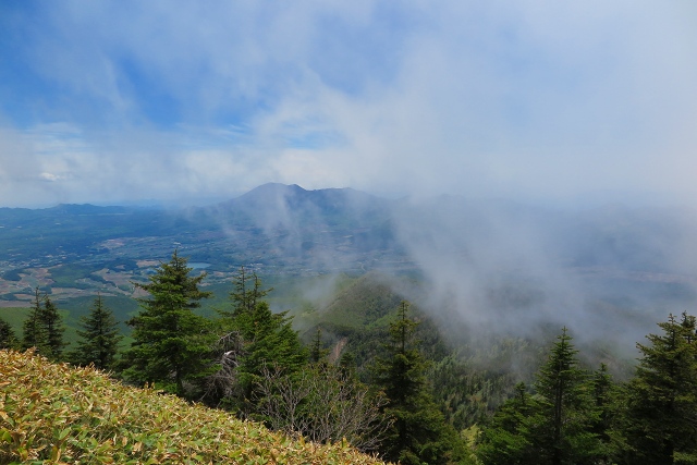 IMG_1782.jpg