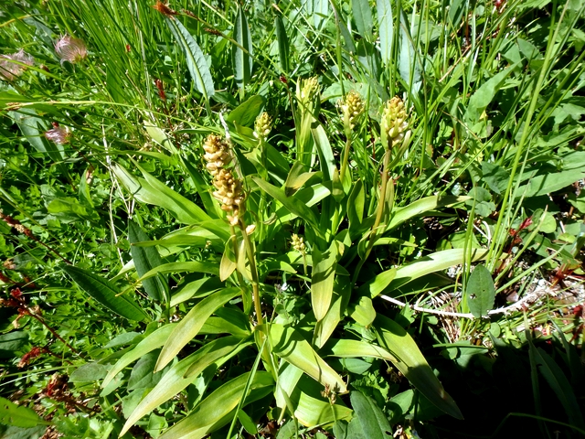 P7276940.jpg