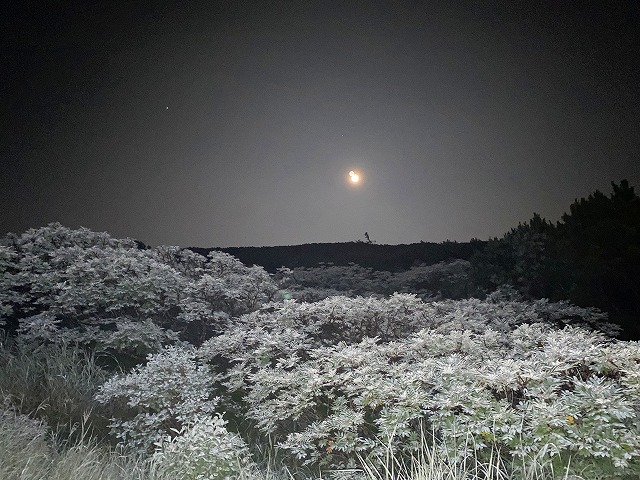 大雪山系縦走－3／4 忠別岳避難小屋～トムラウシ山～南沼