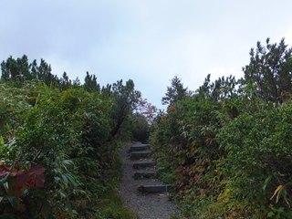 130923-04シャクナゲ岳.jpg