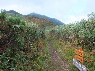 130923-11シャクナゲ岳.jpg