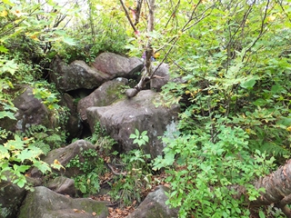 130923-18シャクナゲ岳.jpg