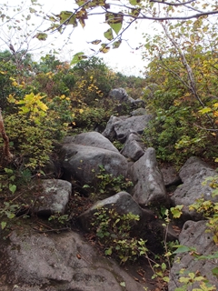 130923-20シャクナゲ岳.jpg