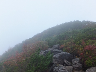 130923-21シャクナゲ岳.jpg