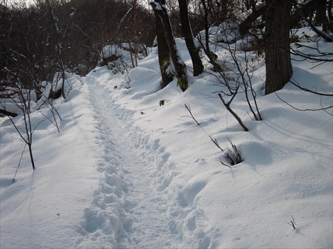 141227-03Áô´ä»³.JPG