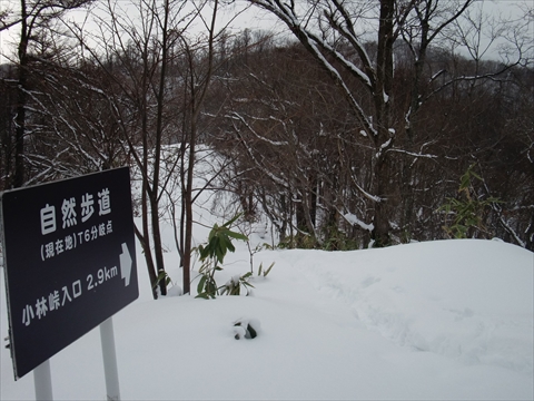 141227-07Áô´ä»³.JPG