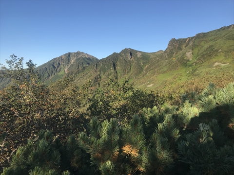 180901-03Æó¥Ú¥½¥Ä»³.jpg