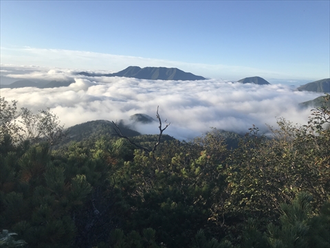 180901-04Æó¥Ú¥½¥Ä»³.jpg