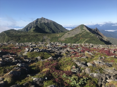 180901-10Æó¥Ú¥½¥Ä»³.jpg