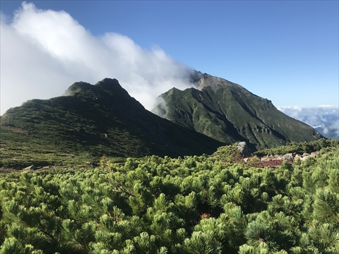 180901-11Æó¥Ú¥½¥Ä»³.jpg
